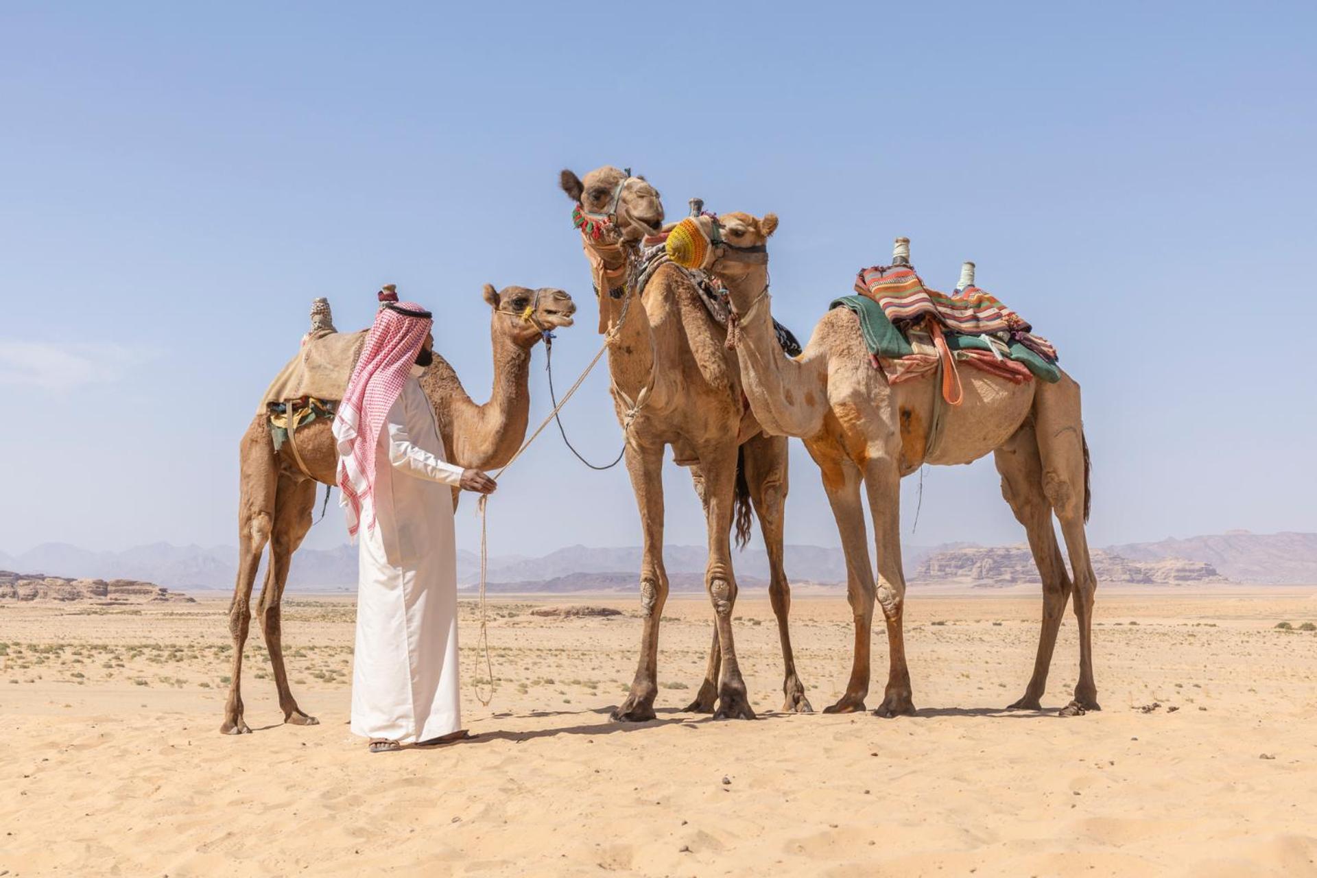 Wadi Rum Camp & Jeep Tour Kültér fotó